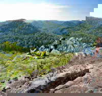 Dubbo Gully Loop Trail - Gold Coast Attractions