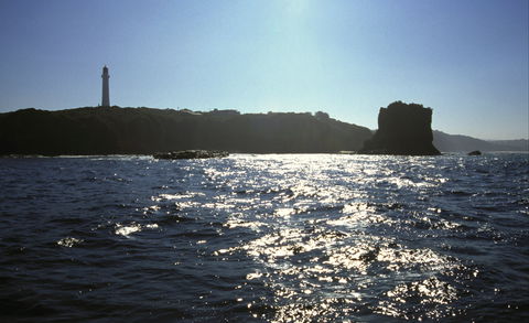 Eagle Rock Marine Sanctuary - Gold Coast Attractions 2