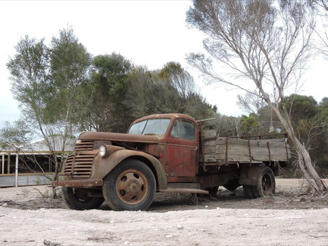 Emu Ridge Eucalyptus Pty Ltd - Gold Coast Attractions 2