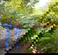 Endeavour Fern Gully Walks - Gold Coast Attractions