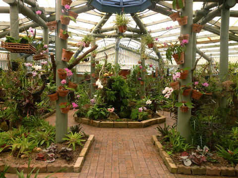 Family Fun In Mackay City - Gold Coast Attractions 1