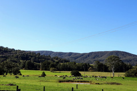Farm Visit  Dungog - Gold Coast Attractions 1