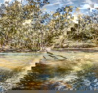 Flea Creek Picnic Area - Gold Coast Attractions