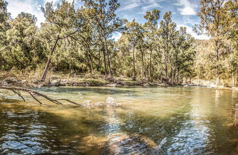 Flea Creek Picnic Area - Gold Coast Attractions 0