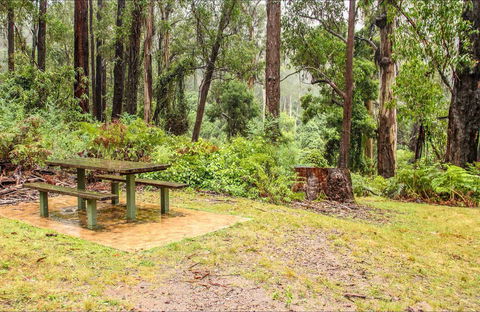 Goodenia Rainforest Picnic Area - Gold Coast Attractions 0
