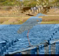Groper Creek - Gold Coast Attractions