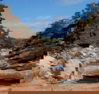 Homestead Gorge trail - Gold Coast Attractions