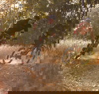 Kholo Gardens Trails - Gold Coast Attractions