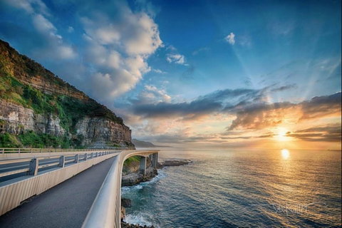 Kramer Photography Rainforest Gallery - Gold Coast Attractions 0