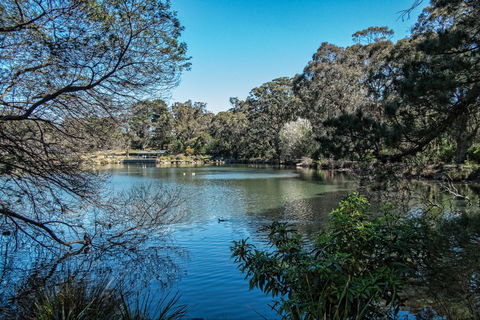 Lake Alexandra Reserve - Gold Coast Attractions 1