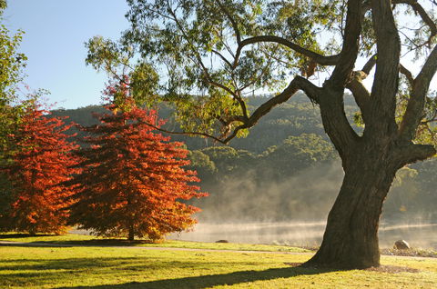 Lake Alexandra Reserve - Gold Coast Attractions 2