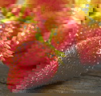 Lambs Valley - Gold Coast Attractions