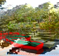 Lane Cove National Park - Gold Coast Attractions
