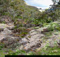 Lynchs Loop Trail - Gold Coast Attractions
