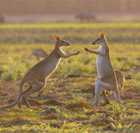 Mary River Area - Gold Coast Attractions