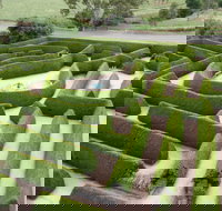 Mintaro Maze - Gold Coast Attractions