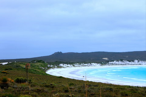 Mississippi Hill And Rossiter Bay - Gold Coast Attractions 0