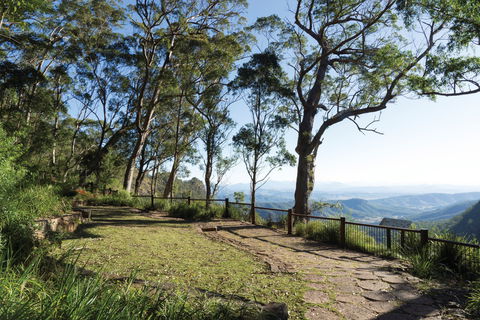 Morans Falls Track, Lamington National Park - Gold Coast Attractions 1