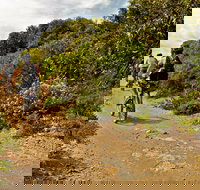 Mountain Biking Trails - Gold Coast Attractions