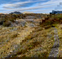 Murramarang Aboriginal Area Walking Track - Gold Coast Attractions