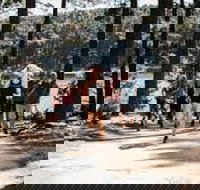 Myponga Reservoir Trail - Gold Coast Attractions