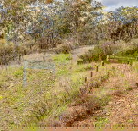 Old Mountain Road Walking Track - Gold Coast Attractions