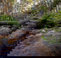 O'Neills Creek picnic reserve - Gold Coast Attractions