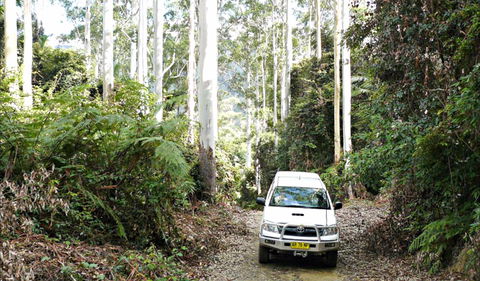 Orara Escarpment 4WD Touring Route - Gold Coast Attractions 0