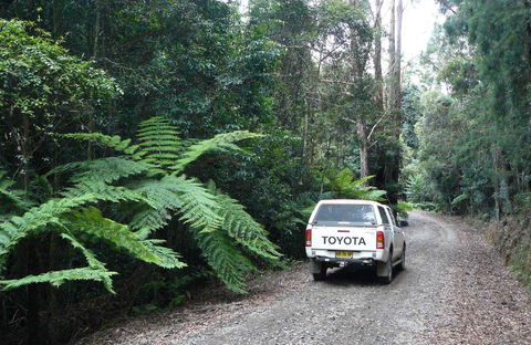 Orara Escarpment 4WD Touring Route - Gold Coast Attractions 1