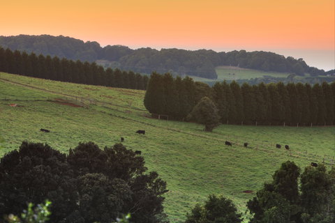 Robertson Heritage Railway Station - Gold Coast Attractions 2