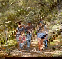 Russell Island Canaipa - Gold Coast Attractions