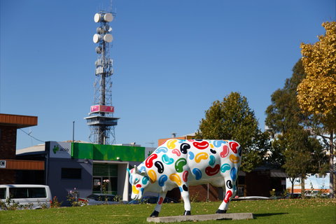 Shepparton Tower - Gold Coast Attractions 1