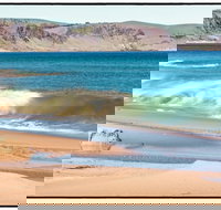 Starfish Hill Windfarm - Gold Coast Attractions