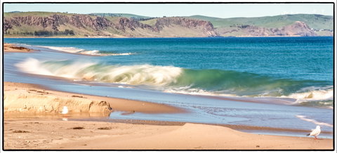 Starfish Hill Windfarm - Gold Coast Attractions 0