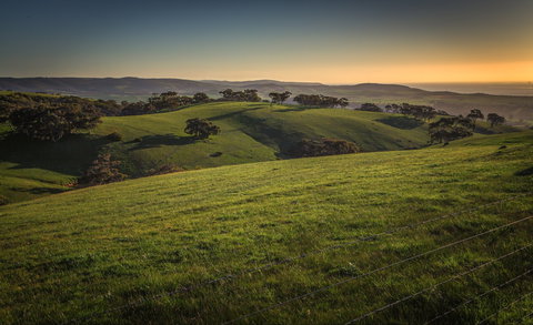 Starfish Hill Windfarm - Gold Coast Attractions 1