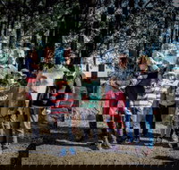 State Forests of the Watagan Mountains - Gold Coast Attractions