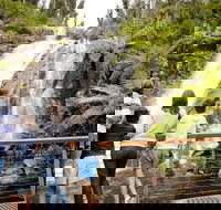 Steavenson Falls - Gold Coast Attractions