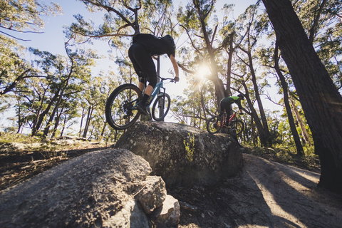 St Helens Mountain Bike Trails - Gold Coast Attractions 1