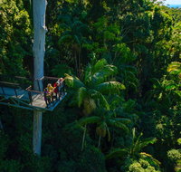 Tamborine Rainforest Skywalk - Gold Coast Attractions