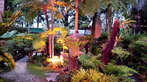 The Fernery At Diamond Waters - Gold Coast Attractions 0