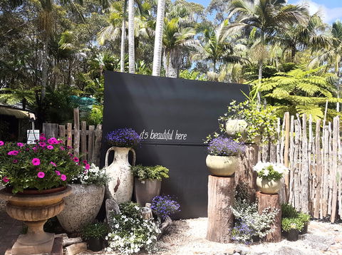 The Fernery At Diamond Waters - Gold Coast Attractions 1