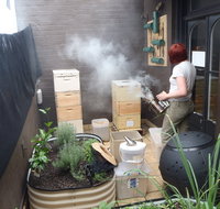 The Urban Beehive Port Botany - Gold Coast Attractions