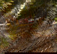 The West Coast Wilderness Way - Gold Coast Attractions