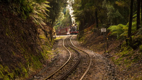 The West Coast Wilderness Way - Gold Coast Attractions 0