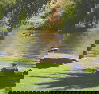 The Lions Junction Park - Tumut - Gold Coast Attractions
