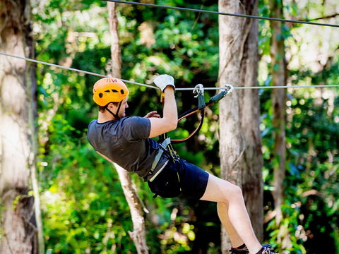 TreeTop Challenge Currumbin Wildlife Sanctuary - Gold Coast Attractions 0