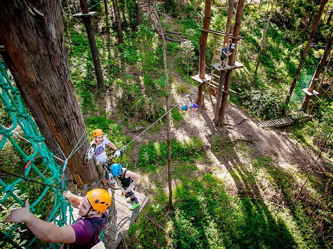 TreeTop Challenge Currumbin Wildlife Sanctuary - Gold Coast Attractions 2