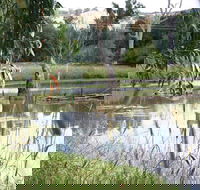 Tumut Wetlands - Gold Coast Attractions