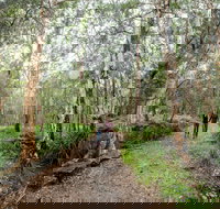 Venman Bushland National Park - Gold Coast Attractions