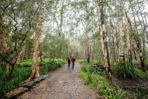 Venman Bushland National Park - Gold Coast Attractions 0